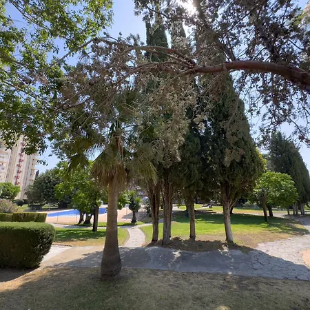 Moderno Estudio Aguila Del Sol Benalmadena